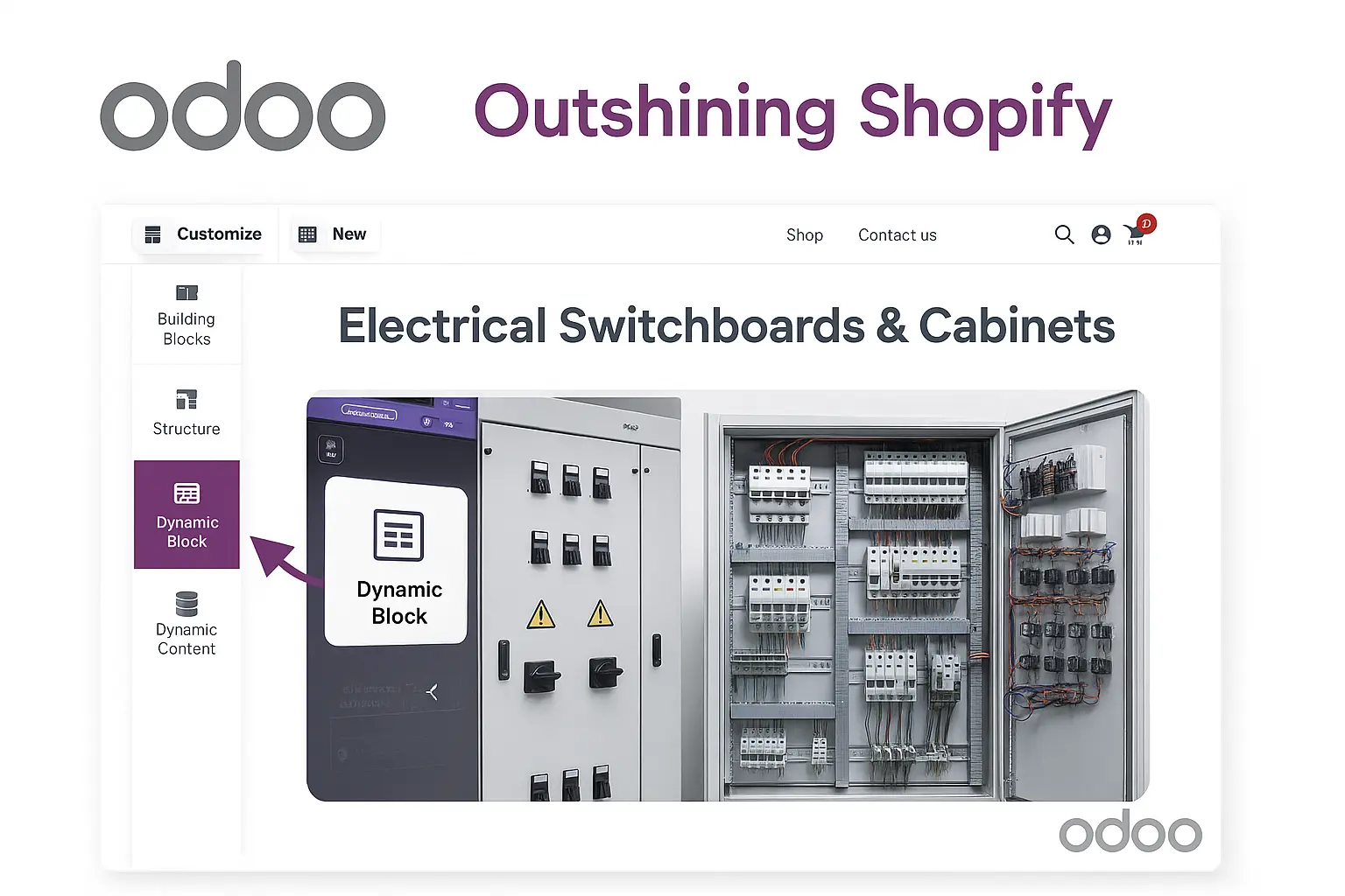 Odoo eCommerce and website real world applications Odoo eCommerce and website real world applications