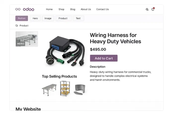 Odoo eCommerce and website real world applications Odoo eCommerce and website real world applications